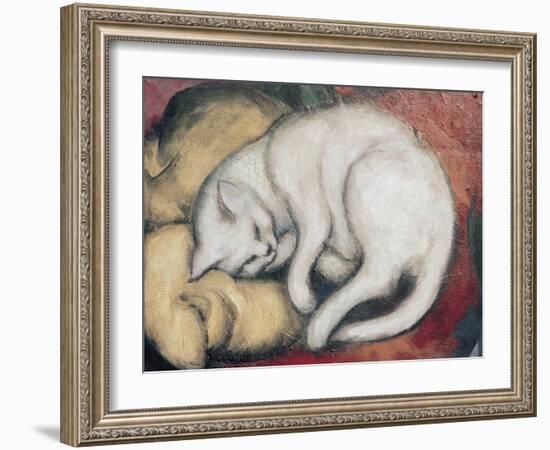 Cat On A Yellow Pillow-Franz Marc-Framed Giclee Print