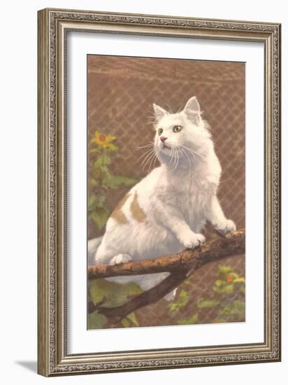 Cat on Branch-null-Framed Art Print