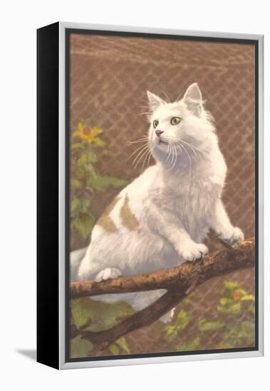 Cat on Branch-null-Framed Stretched Canvas