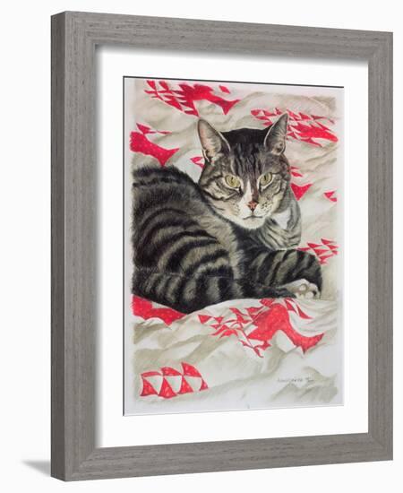 Cat on Quilt-Anne Robinson-Framed Giclee Print