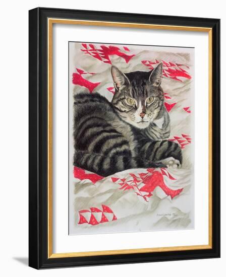 Cat on Quilt-Anne Robinson-Framed Giclee Print