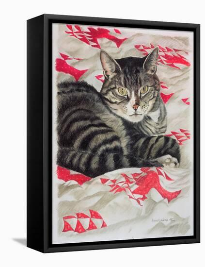 Cat on Quilt-Anne Robinson-Framed Premier Image Canvas