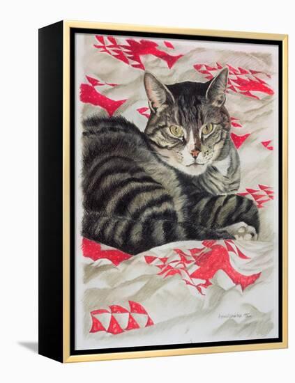 Cat on Quilt-Anne Robinson-Framed Premier Image Canvas