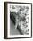 Cat Owned by Olympic Track Star Harold Connoly and Family-Bill Eppridge-Framed Photographic Print