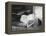 Cat Pays Final Respects-null-Framed Premier Image Canvas