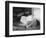 Cat Pays Final Respects-null-Framed Photographic Print