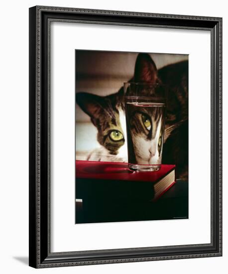 Cat Peering Into Glass Reflects Its Image in Reverse, Creating Perfect Example of Light Refraction-Nina Leen-Framed Photographic Print