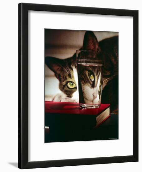 Cat Peering Into Glass Reflects Its Image in Reverse, Creating Perfect Example of Light Refraction-Nina Leen-Framed Photographic Print