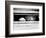 Cat Peers out of Letter Box-null-Framed Photographic Print