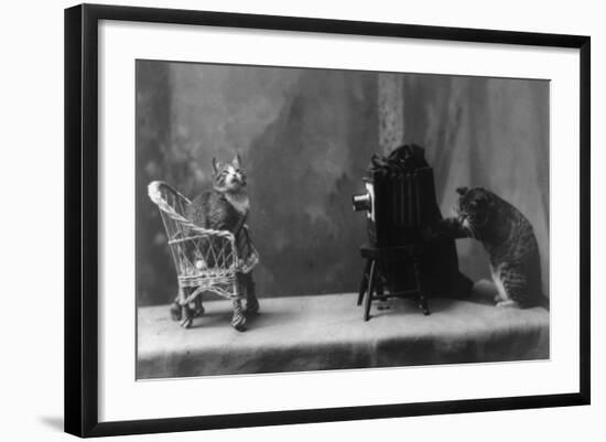 Photo, , large