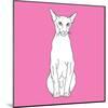 Cat Pointy Ears-Anna Nyberg-Mounted Giclee Print