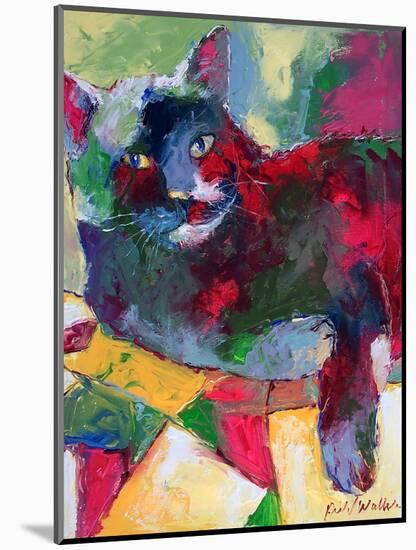 Cat Quilt-Richard Wallich-Mounted Art Print