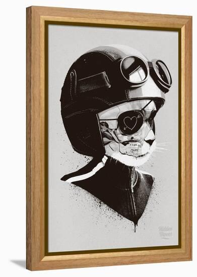 Cat Racer-Hidden Moves-Framed Stretched Canvas