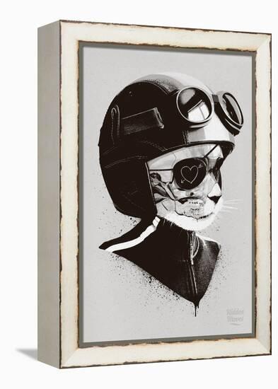 Cat Racer-Hidden Moves-Framed Stretched Canvas