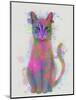 Cat Rainbow Splash 4-Fab Funky-Mounted Art Print