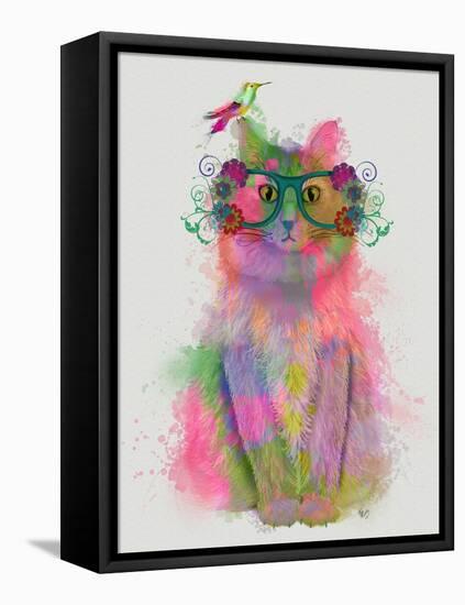 Cat Rainbow Splash 8-Fab Funky-Framed Stretched Canvas