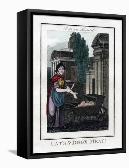 Cat's and Dog's Meat!, Bethlem Hospital, London, 1805-null-Framed Premier Image Canvas