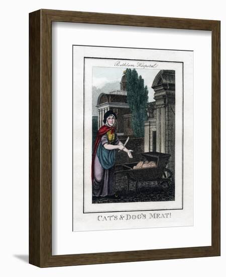 Cat's and Dog's Meat!, Bethlem Hospital, London, 1805-null-Framed Giclee Print