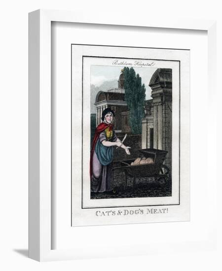 Cat's and Dog's Meat!, Bethlem Hospital, London, 1805-null-Framed Giclee Print