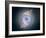 Cat's Eye Nebula-null-Framed Photographic Print