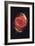 Cat's Eye Nebula-null-Framed Premium Giclee Print