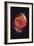 Cat's Eye Nebula-null-Framed Premium Giclee Print