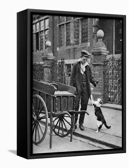 Cat's Meat Man, London, 1926-1927-McLeish-Framed Premier Image Canvas