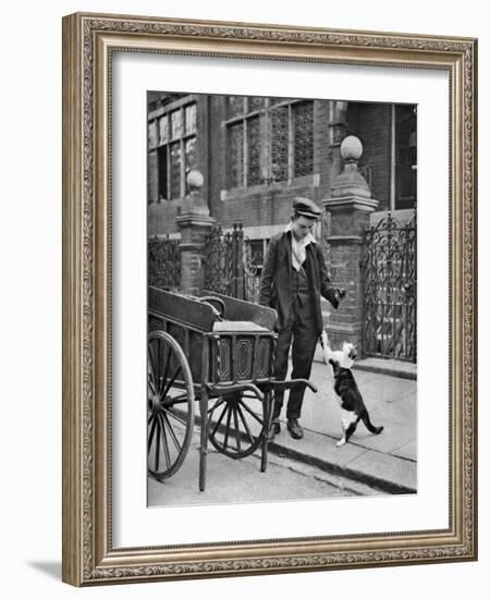 Cat's Meat Man, London, 1926-1927-McLeish-Framed Giclee Print