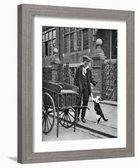 Cat's Meat Man, London, 1926-1927-McLeish-Framed Giclee Print