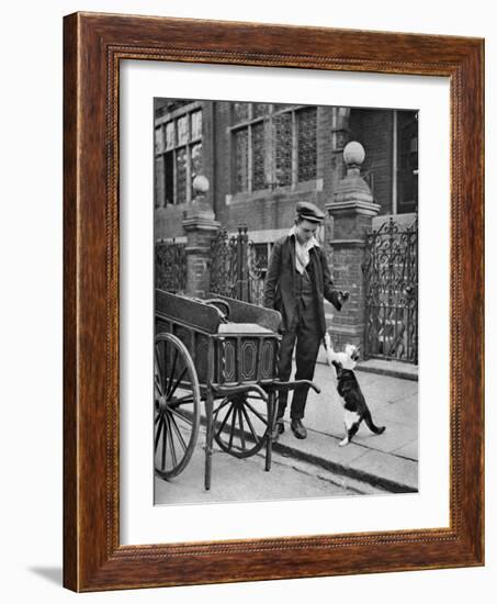 Cat's Meat Man, London, 1926-1927-McLeish-Framed Giclee Print