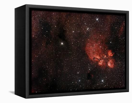 Cat's Paw Nebula in Scorpius-null-Framed Premier Image Canvas