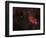 Cat's Paw Nebula in Scorpius-null-Framed Photographic Print