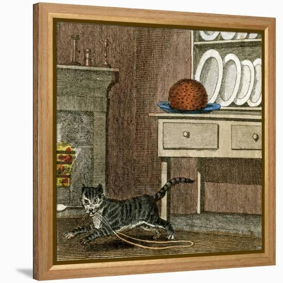 Cat's Run Away 1818-null-Framed Stretched Canvas