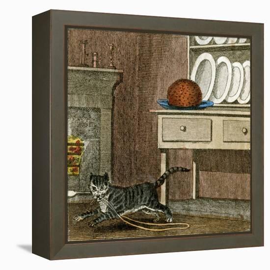 Cat's Run Away 1818-null-Framed Stretched Canvas