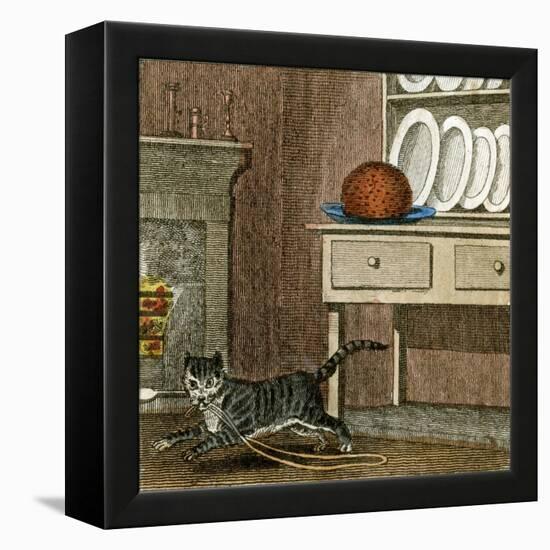 Cat's Run Away 1818-null-Framed Stretched Canvas