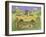 Cat Safari-Pat Scott-Framed Giclee Print