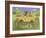 Cat Safari-Pat Scott-Framed Giclee Print