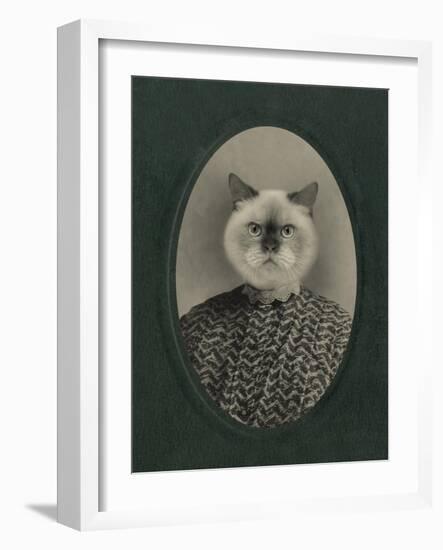Cat Series #1-J Hovenstine Studios-Framed Giclee Print