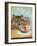 Cat Series #3-J Hovenstine Studios-Framed Giclee Print