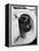 Cat Sitting In Bathroom Sink-Natalie Fobes-Framed Premier Image Canvas