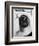 Cat Sitting In Bathroom Sink-Natalie Fobes-Framed Photographic Print