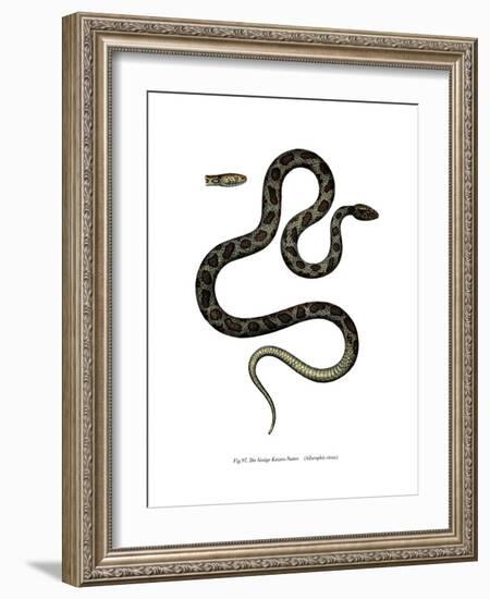 Cat Snake-null-Framed Giclee Print