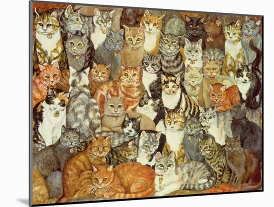 Cat-Spread-Ditz-Mounted Giclee Print