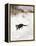 Cat Stalking over Snow, 1884-Bruno Andreas Liljefors-Framed Premier Image Canvas