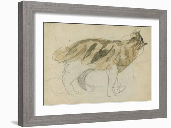 Cat Studies (Pencil with W/C on Paper)-Gwen John-Framed Giclee Print