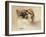 Cat Study (W/C on Paper)-Louis Wain-Framed Giclee Print