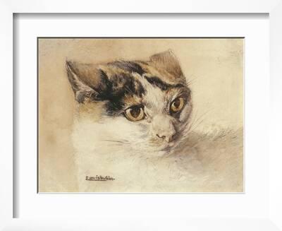 Cat study Art Print