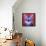 Cat - Surprise-Dawgart-Framed Premier Image Canvas displayed on a wall