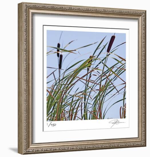 Cat Tails-Ken Bremer-Framed Limited Edition