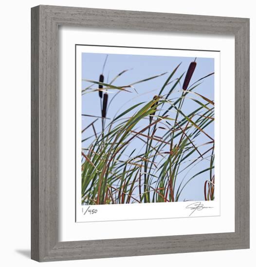 Cat Tails-Ken Bremer-Framed Limited Edition